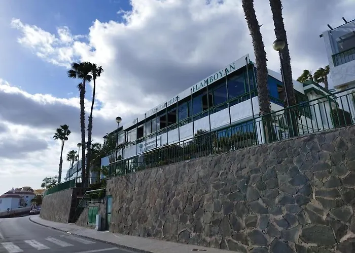 Flamboyan Vista Mar